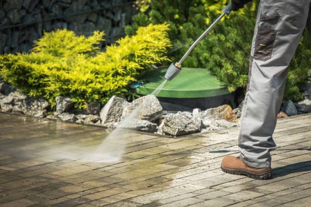 Best Fence Cleaning  in Coats Bend, AL